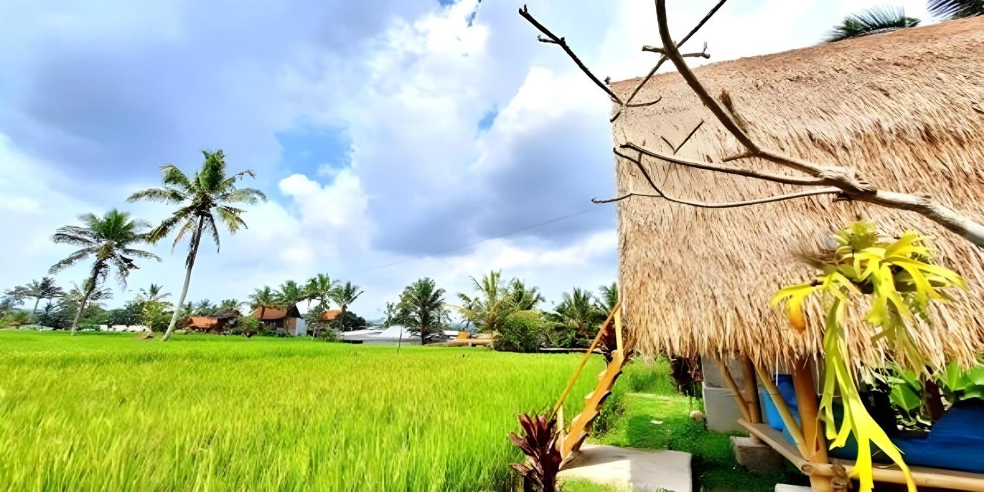 Lumbung Langit Bali House & Campsite