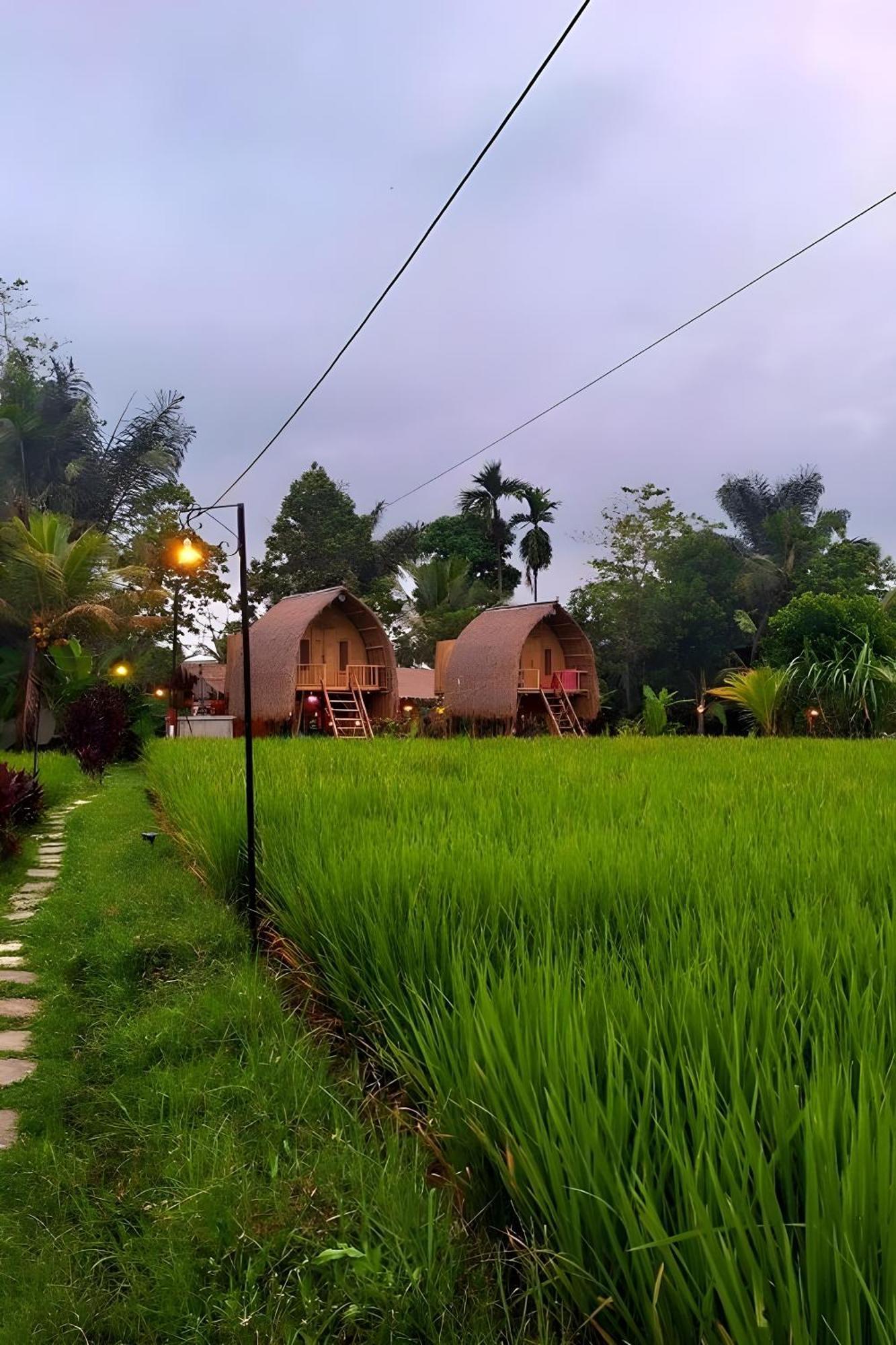 Lumbung Langit Bali House & Tampaksiring