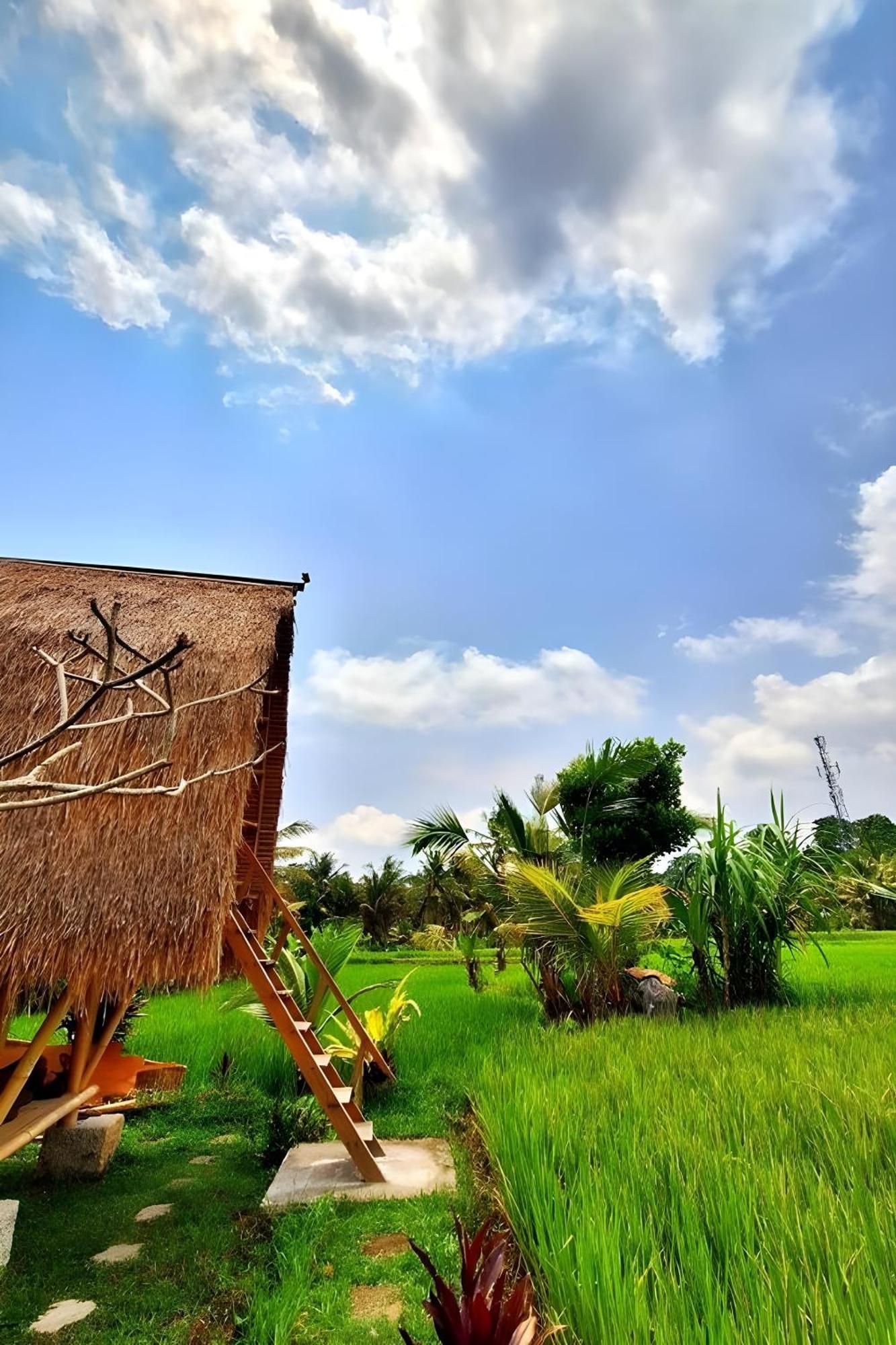 Lumbung Langit Bali House & Campsite *
