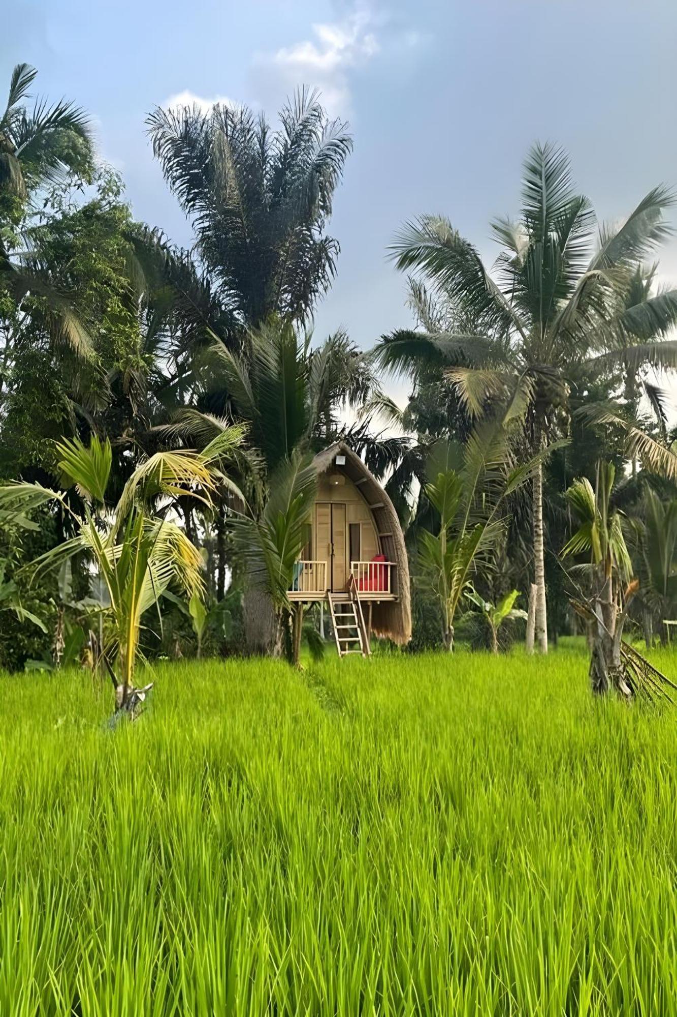 Lumbung Langit Bali House & Campsite Tampaksiring