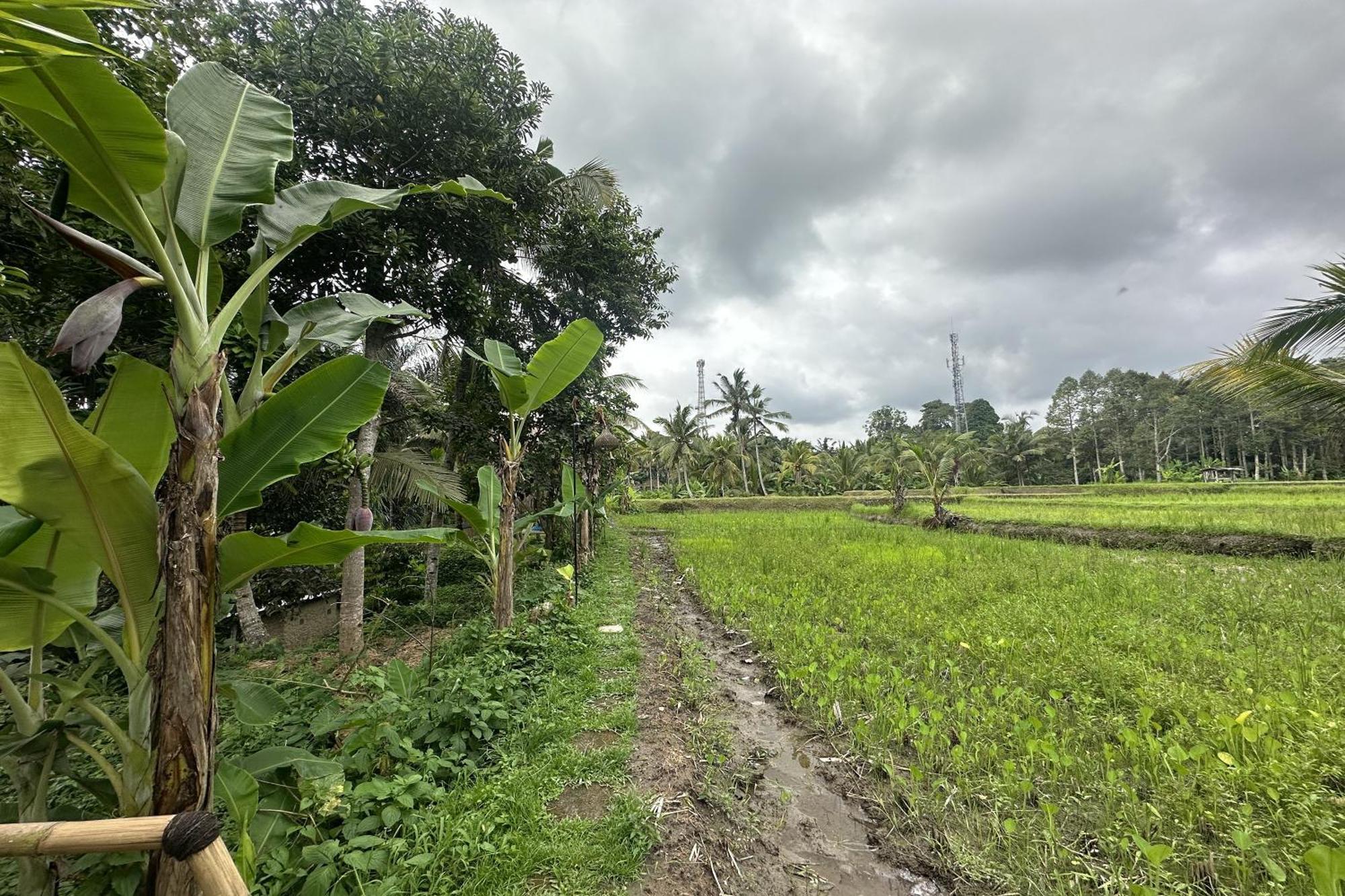 Lumbung Langit Bali House & * Tampaksiring