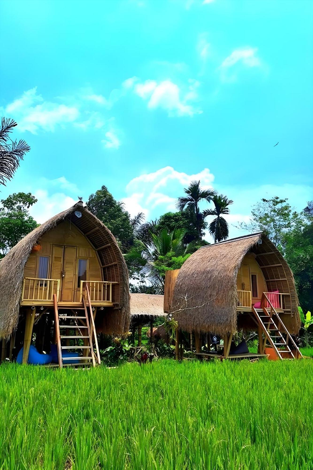 Lumbung Langit Bali House & Camping *