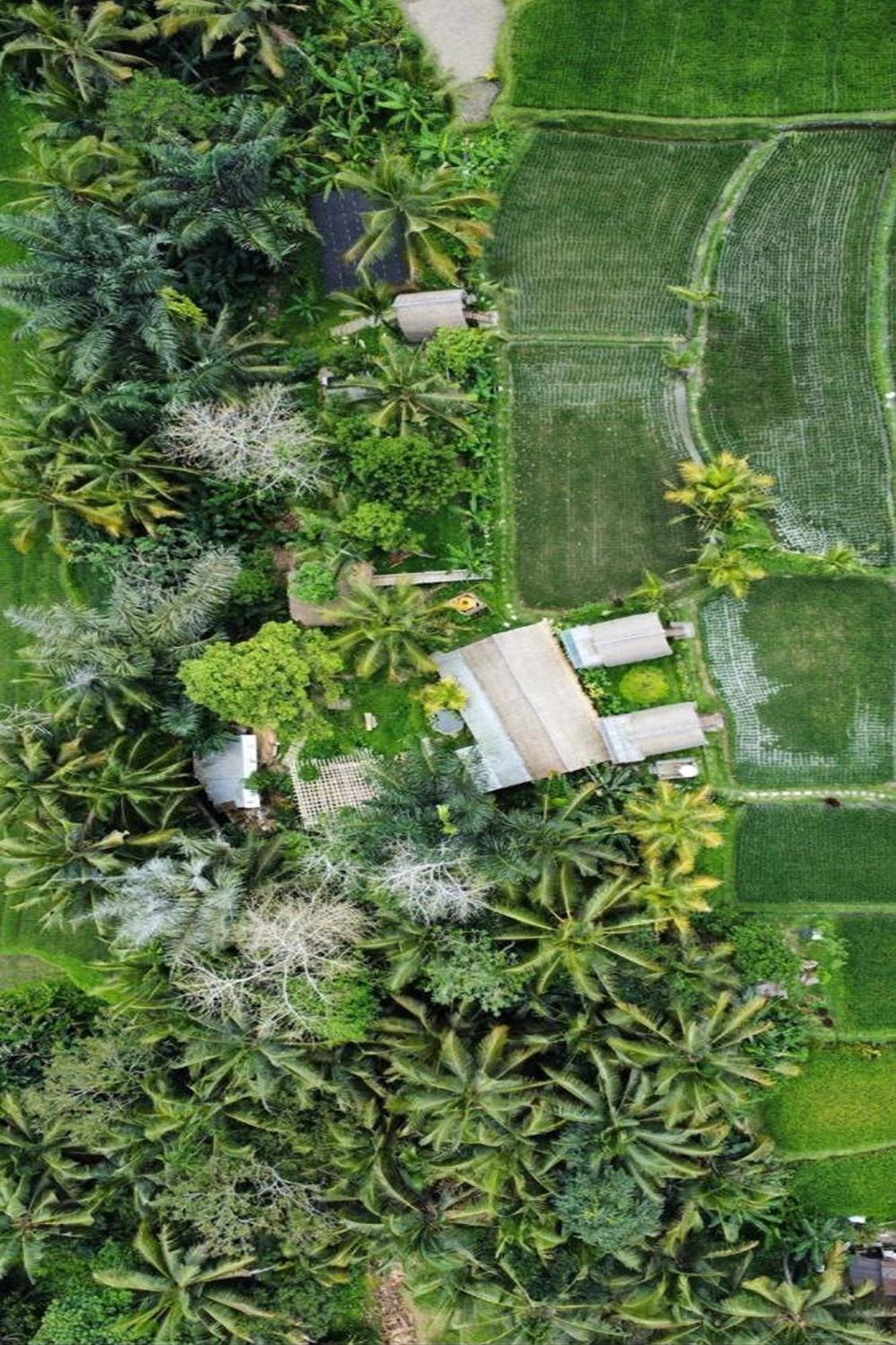 Lumbung Langit Bali House & Camping